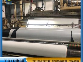 tpu膜白色霧面防水透氣膜復(fù)合布料紡織移印 等功能性薄膜生產(chǎn)廠(chǎng)家直銷(xiāo)